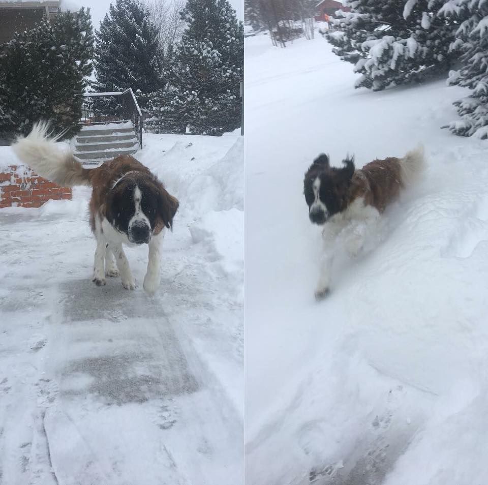 Montana snow photos from readers